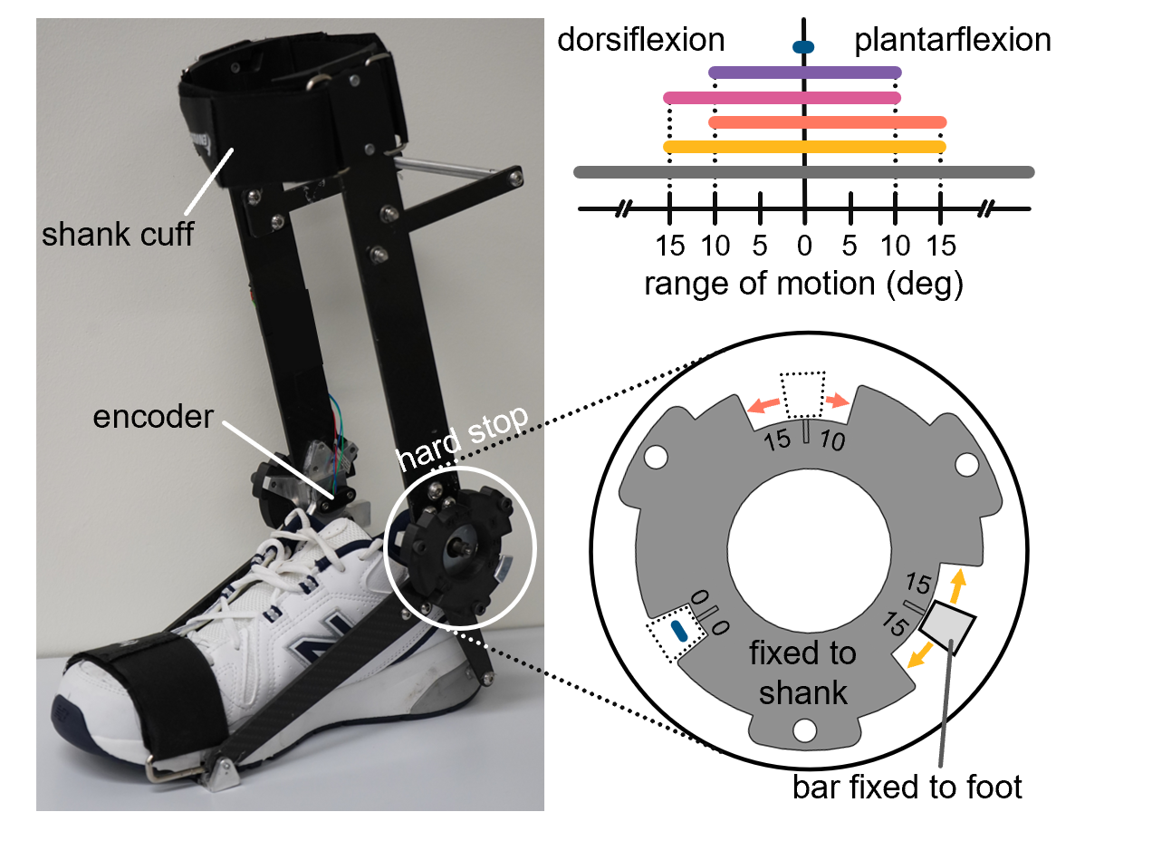 ROM-limiting ankle exoskeleton