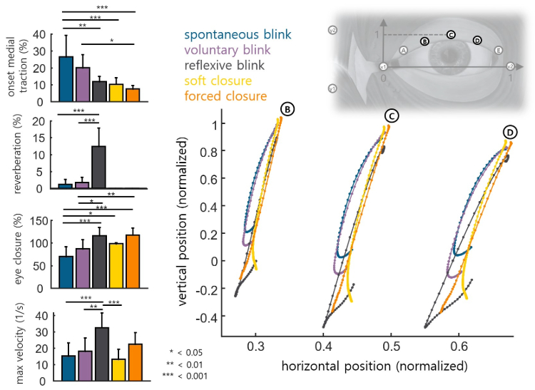 Eyelid kinematics during different behaviors