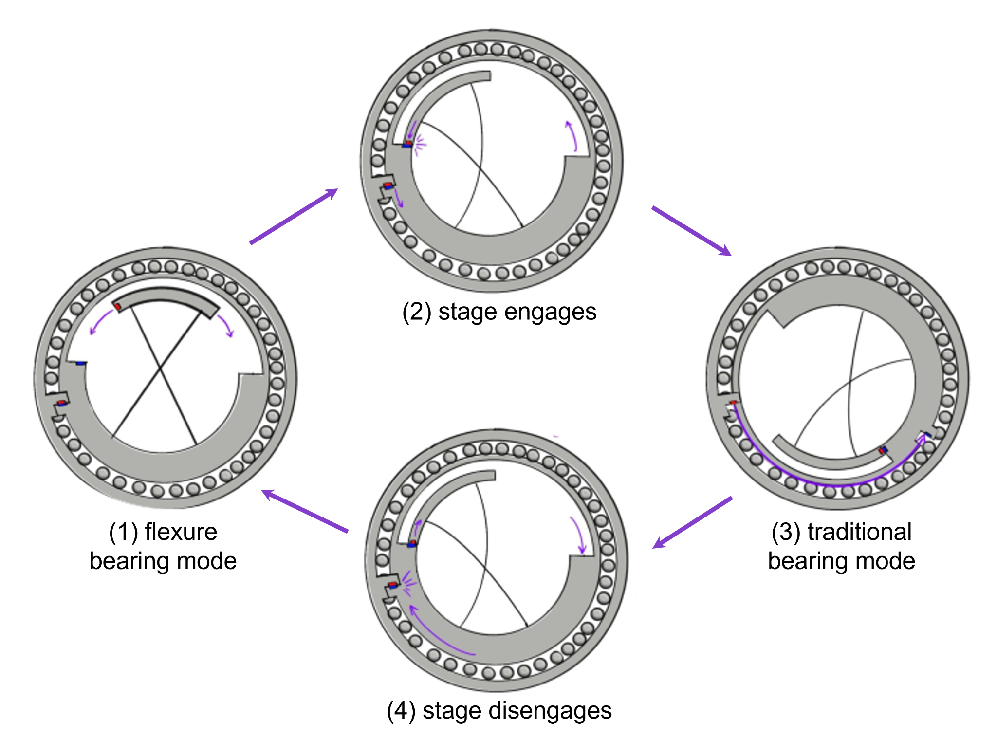 Function of Metamorphic Bearings